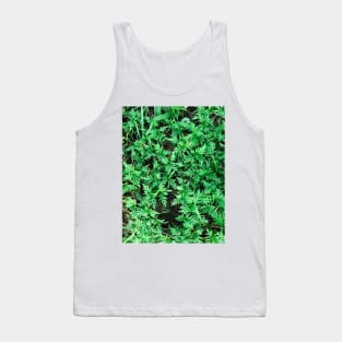 Grass (Yellow cosmos) texture background (greener) Tank Top